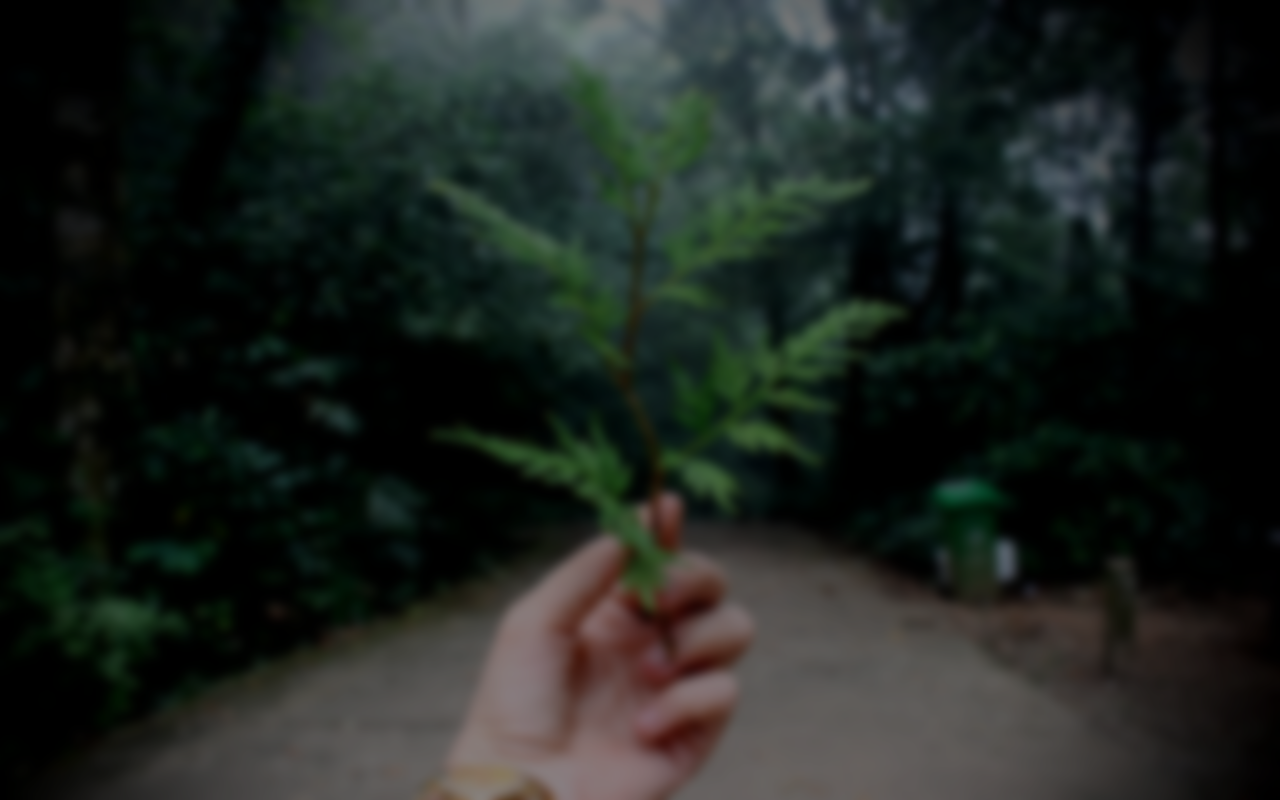 boiler-central-heating-home-emergency-cover-sustain